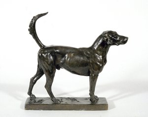 O cão de caça "Pytchley Forager de Adrian Jones