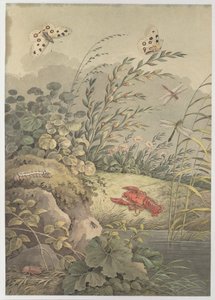 Pedaço de água com caranguejo, borboletas, libélulas e espinheiro, c. 1800.