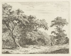 Paisagem com árvores e um homem na estrada de Adrianus Serné