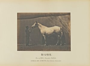 Bijou de Adrien Alban Tournachon