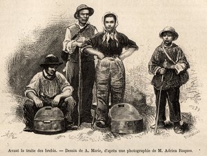 Antes do comércio de ovelhas, todo o pessoal da fazenda era empregado neste local, menino, criado, sob a supervisão do pastor, o leite era recolhido nas soleiras (vaso metálico etame), gravado após um desenho de A.Marie, ilustrando uma viagem a Roquefo