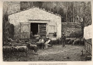 O comércio de ovelhas, todo o pessoal da fazenda foi empregado nesta tarefa, menino, criado, sob a supervisão do pastor, gravando após um desenho de A.Marie, ilustrando uma viagem a Roquefort e seus arredores, de Adrien Roques e Jules Charton, de Adrien Emmanuel Marie