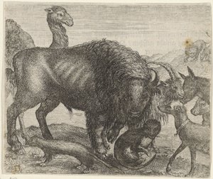 Fábula do bisonte e dos outros animais