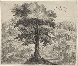 Fábula do Olmo e do Carvalho de Egidius  Sadeler (II)