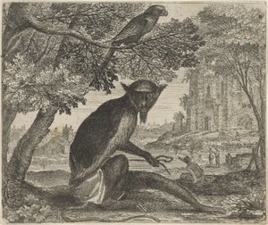 Fábula do Papagaio e do Macaco