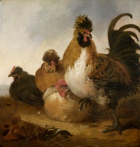 A Cock and Hens (óleo sobre painel) de Aelbert Cuyp