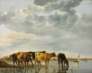 Gado na água de Aelbert Cuyp