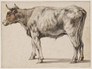 Um jovem touro de pé de Aelbert Cuyp
