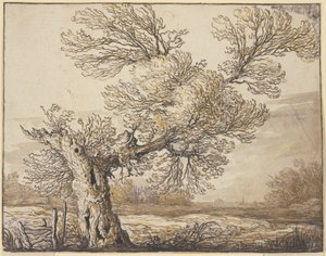 Paisagem perto de Dordrecht de Aelbert Cuyp