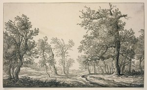 Caminho através de uma floresta de carvalhos