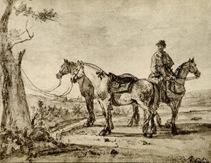Três cavalos
