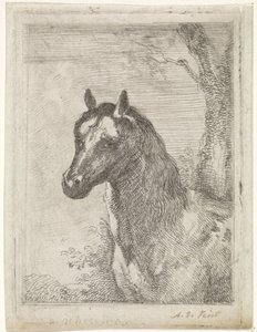 Cabeça de cavalo de Aert Schouman (signed by artist)