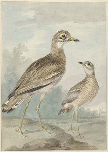 Dois caprichos de Aert Schouman
