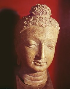 Cabeça de Buda, estilo greco-budista, de Hadda (cerâmica)