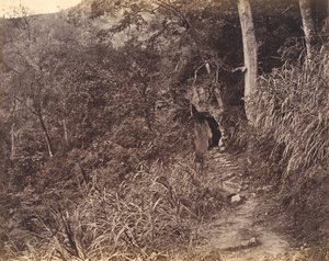 Estrada à esquerda até o Mosteiro de Yuen foo, ca. 1869.