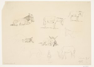 Folha de estudo com animais.