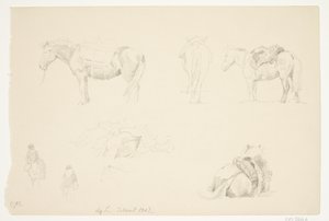 Revista de estudo com cavalos.