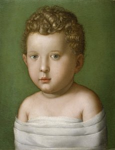 Retrato de um menino, 1540-49 (óleo no painel de madeira)
