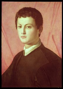Retrato, de, um, homem jovem, (panel)