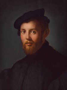 Retrato de um jovem com um livro de Agnolo Bronzino