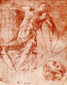 Estudos, 1913. de Agnolo Bronzino