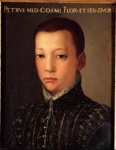 Retrato de Don Pietro de Medicis (1554-1604) (Pietro de 