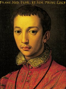 Retrato de Francesco I de Medici (Florença de Agnolo Bronzino