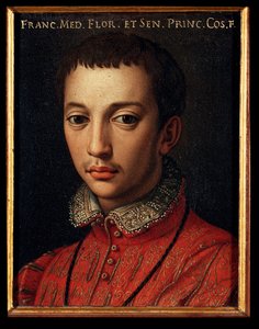 Retrato de François I de Medici (Francesco I de Medici) (1541-1587) Pintura de rapaz jovem por Allori Angelo di Cosimo dit Bronzino (1503-1572) Palácio Medici-Riccardi (Medici Riccardi) Florença de Agnolo Bronzino