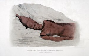 Cabeça colossal descoberta nas ruínas de Carnak por G Belzoni, 1820