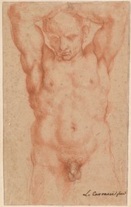 Nu Masculino de Agostino Carracci