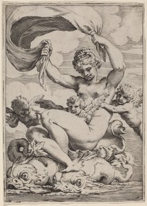 Vênus ou Galatea apoiado por golfinhos de Agostino Carracci