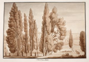 A Villa d&39;Este, 1833 (gravura com lavagem marrom) de Agostino Tofanelli