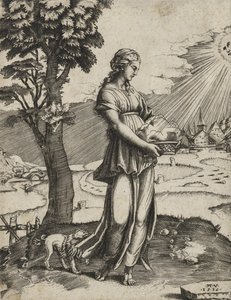 O Cumaean Sybil, 1516 (gravura em papel)