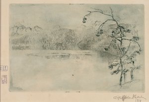 Paanajärvi-See im Nebel