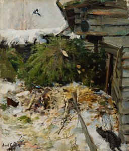 Abetos num pátio de quinta de Akseli Gallen-Kallela