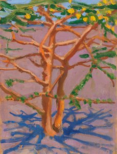  de Akseli Valdemar Gallen-Kallela