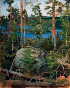 Paisagem no Jamajärvisee de Akseli Valdemar Gallen-Kallela