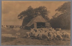 Paisagem com ovelhas, vacas, fazendeiro e redil, Holanda
De Schaapskooi Alb. Kapteyn, Haia (título sobre o objecto) de Alb. Kapteijn