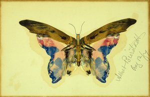 Borboleta (guache sobre papel) de Albert Bierstadt