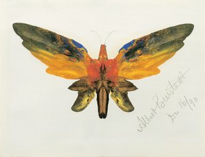 Borboleta, 1890 de Albert Bierstadt