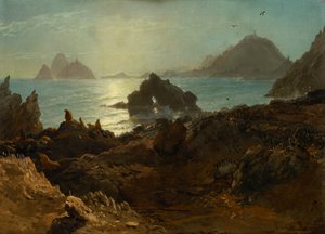 Ilhas Farallon, Oceano Pacífico, Califórnia de Albert Bierstadt