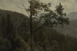 Montanhas cobertas de árvores de Albert Bierstadt
