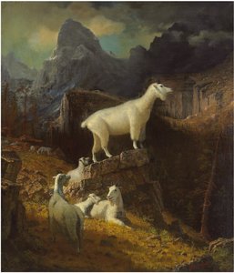 Imagem desconhecida de Albert Bierstadt