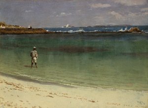 Cena da costa das Índias Ocidentais, c.1880-93 (óleo sobre papel montado em painel de fibras) de Albert Bierstadt