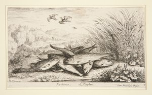 Epelanus, L de Albert Flamen