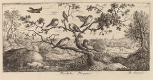 Ficedula, o Bullfinch de Albert Flamen