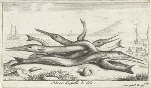 Pegada na praia
Admos. Lesguille de Mer (título sobre o objecto).
Peixes e outros animais marinhos - terceira série de água salgada (título da série)
Poissons de mer (título da série) de Albert Flamen