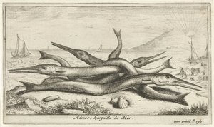 Pegada na praia
Admos. Lesguille de Mer (título sobre o objecto).
Peixes e outros animais marinhos - terceira série de água salgada (título da série)
Poissons de mer (título da série) de Albert Flamen
