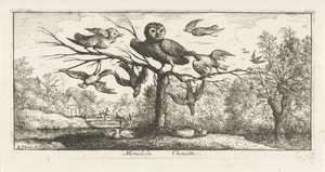 Paisagem com coruja de celeiro entre outras aves Monedula Chouette. (título no objeto) Livro de pássaros (título da série) Livre d