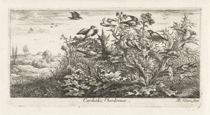 Paisagem com pintassilgo dourado no cardo
Carduëlis; Chardonnet. (título sobre o objecto)
Livro das aves (título da série)
Livre d